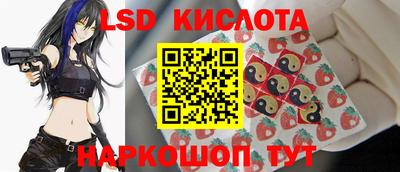 PSILOCYBIN Гатчина