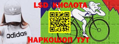 PSILOCYBIN Гатчина