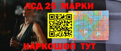 PSILOCYBIN Гатчина