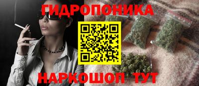 PSILOCYBIN Гатчина