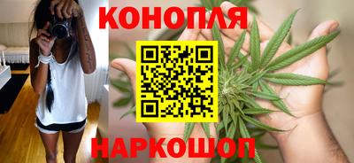 дживик Гай